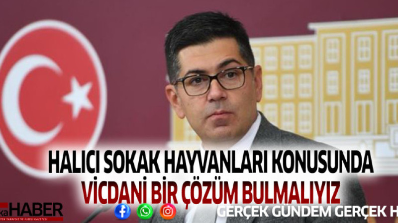  HALICI SOKAK HAYVANLARI KONUSUNDA VİCDANİ BİR ÇÖZÜM BULMALIYIZ’