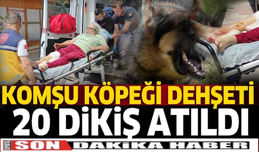 Burdur'da komşu köpeği dehşeti: 20 dikiş atıldı