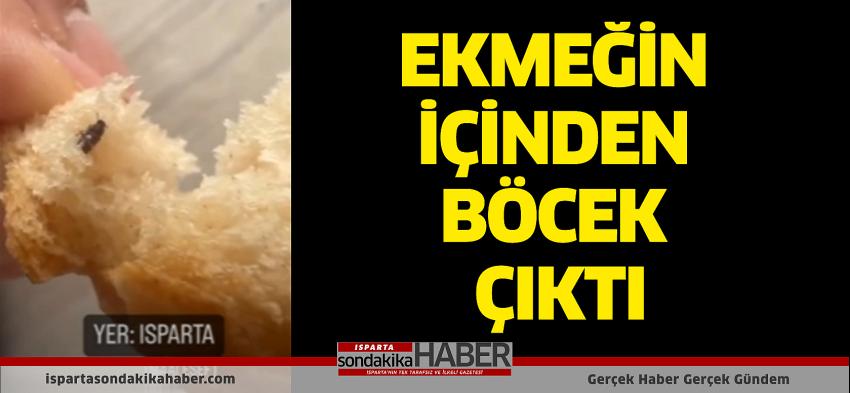 Ekmeğin İçinden Böcek Çıktı